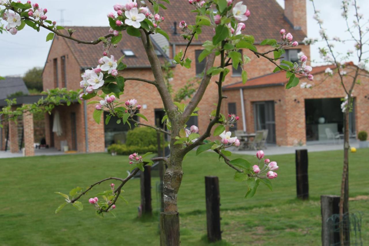 B&B 'T Hoogste Bornem Exterior foto